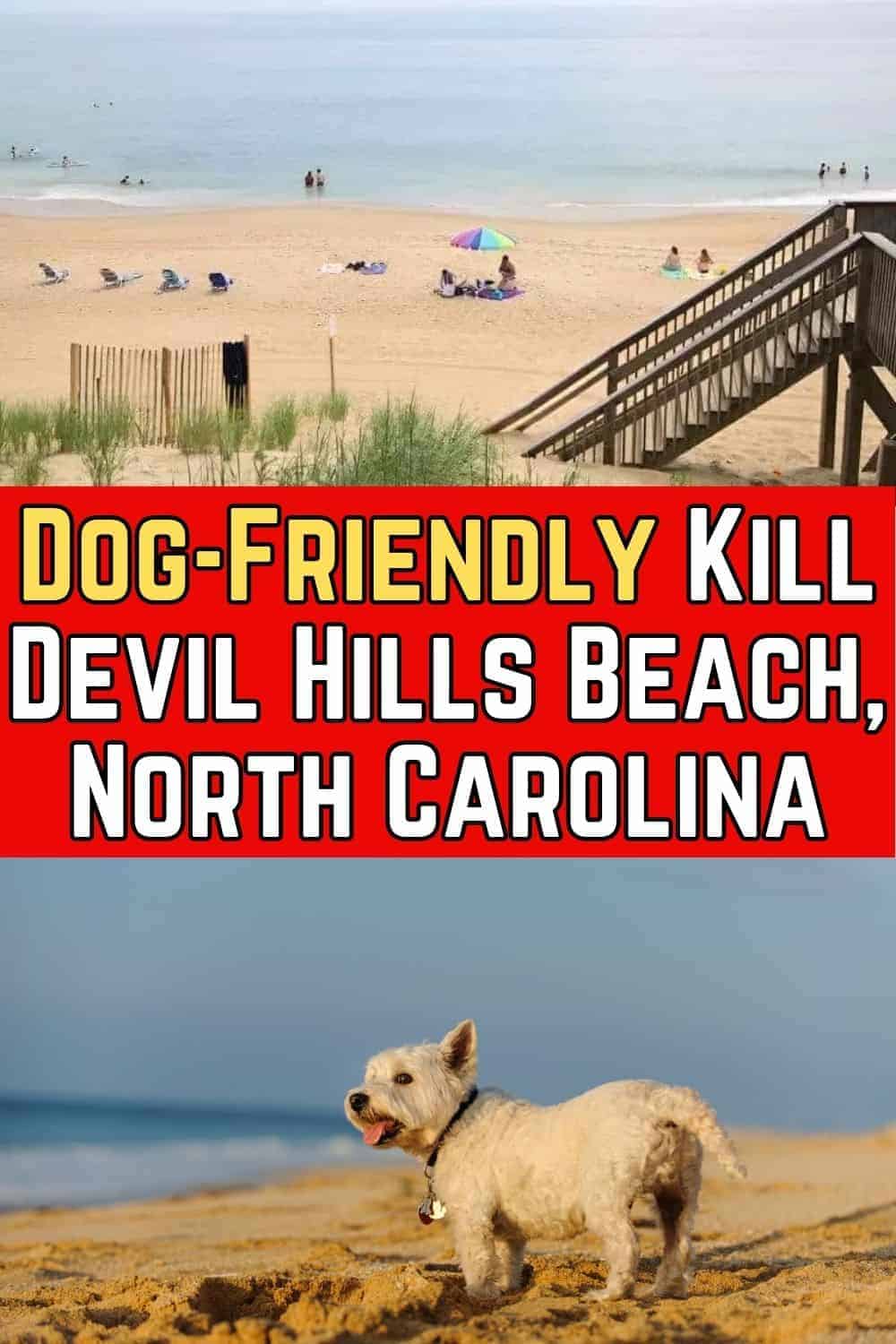 Kill Devil Hills Beach Dog Rules, North Carolina New Laws 2024