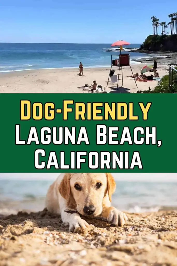 Dog-Friendly Laguna Beach, California