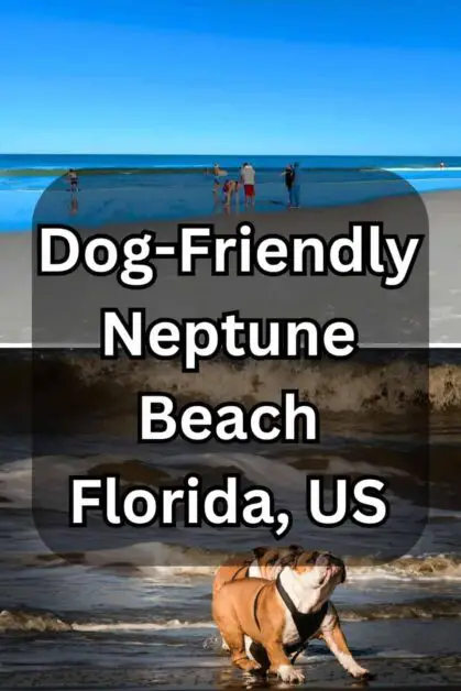Dog-Friendly Neptune Beach - Florida, US