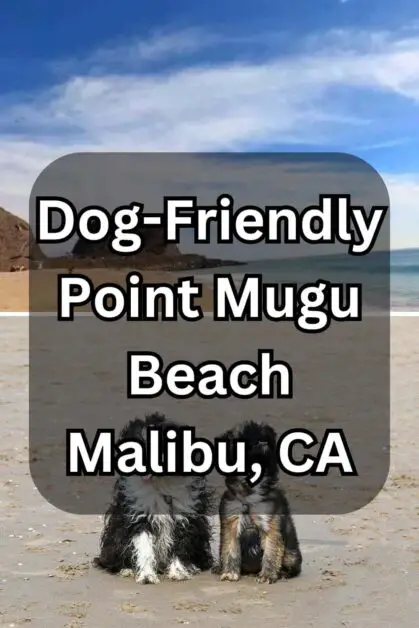 Dog-Friendly Point Mugu Beach, Malibu, CA
