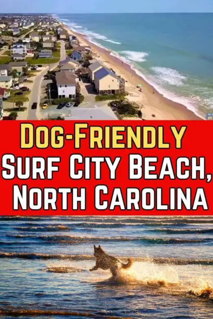Dog-Friendly Surf City Beach, North Carolina