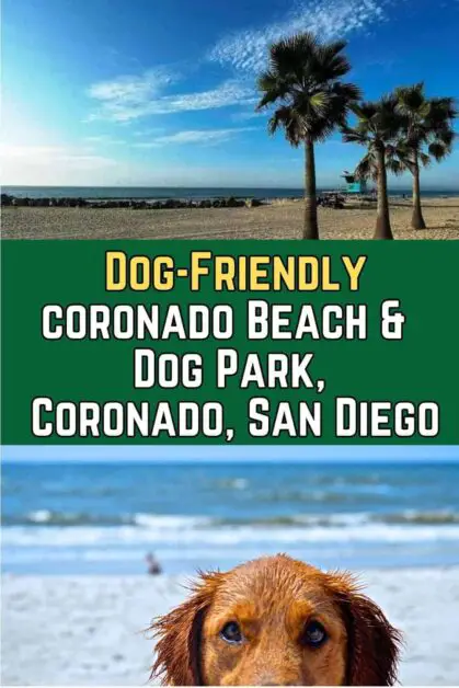 Dog-Friendly Coronado Beach & Dog Park, San Diego