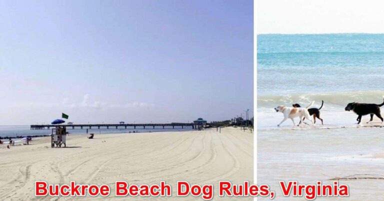 Buckroe Beach Dog Rules, Virginia