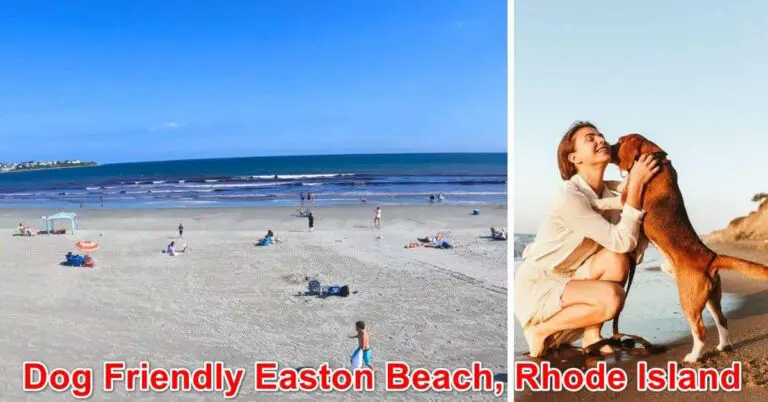 Dog Friendly Easton Beach, Rhode Island
