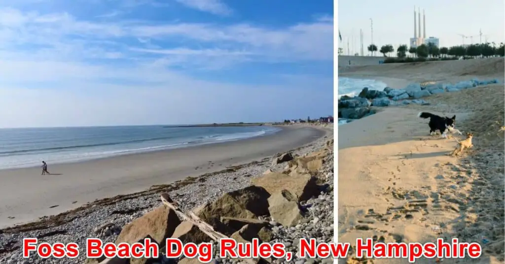 Foss Beach Dog Rules, New Hampshire