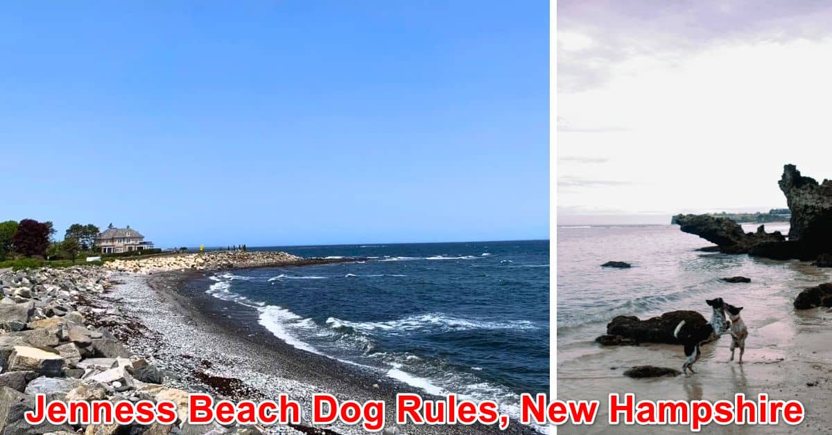Jenness Beach Dog Rules, New Hampshire