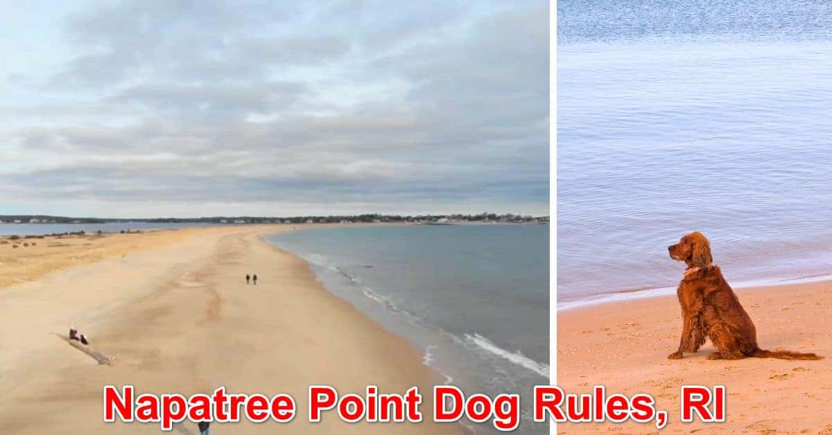 Napatree Point Dog Rules, RI