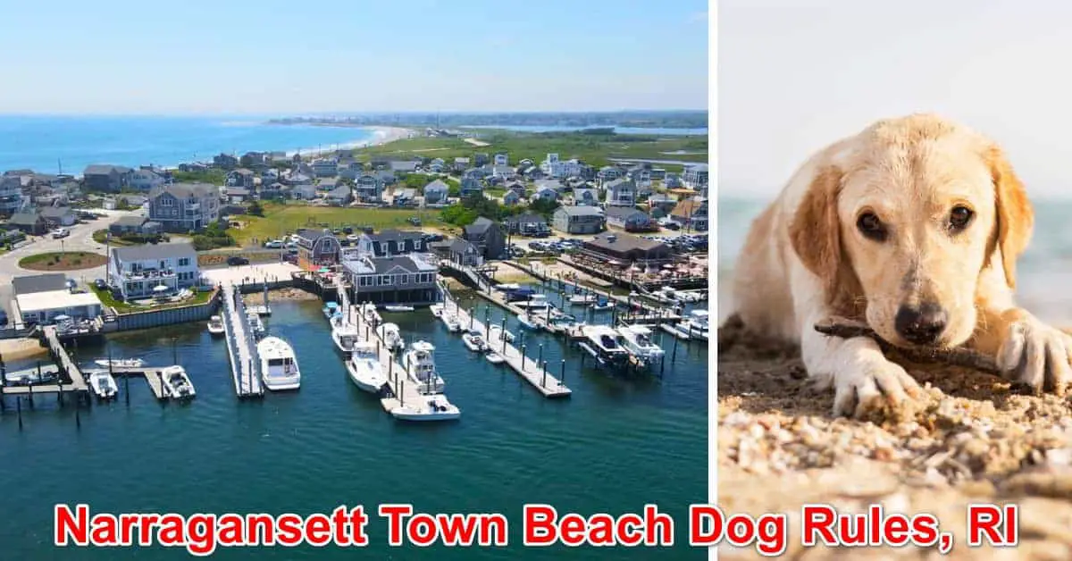 Narragansett Town Beach Dog Rules, RI
