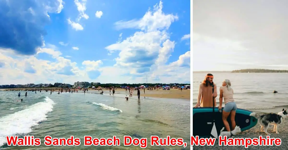 Wallis Sands Beach Dog Rules, New Hampshire