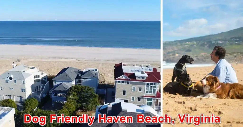 Dog Friendly Haven Beach, Virginia