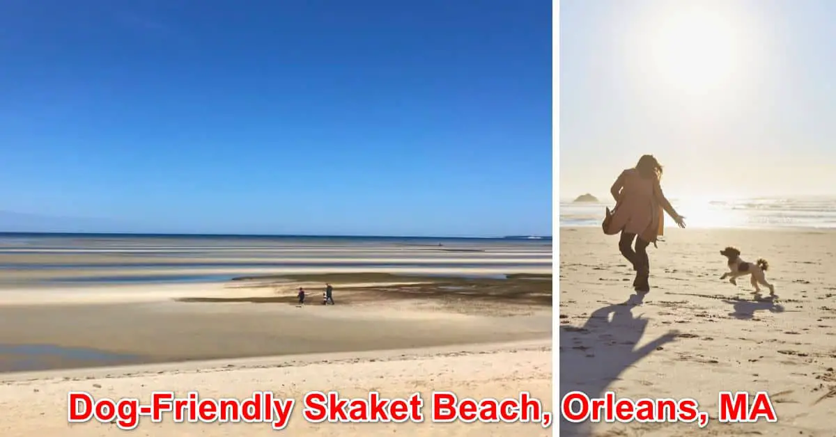 Dog-Friendly Skaket Beach, Orleans, MA