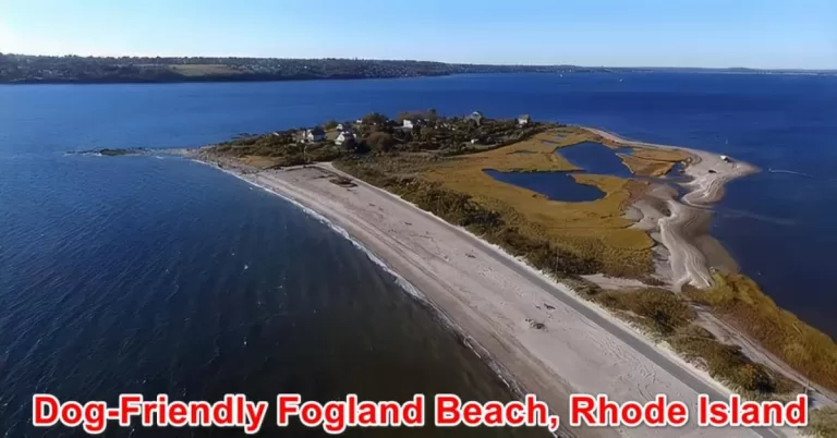 Dog-Friendly Fogland Beach, Rhode Island
