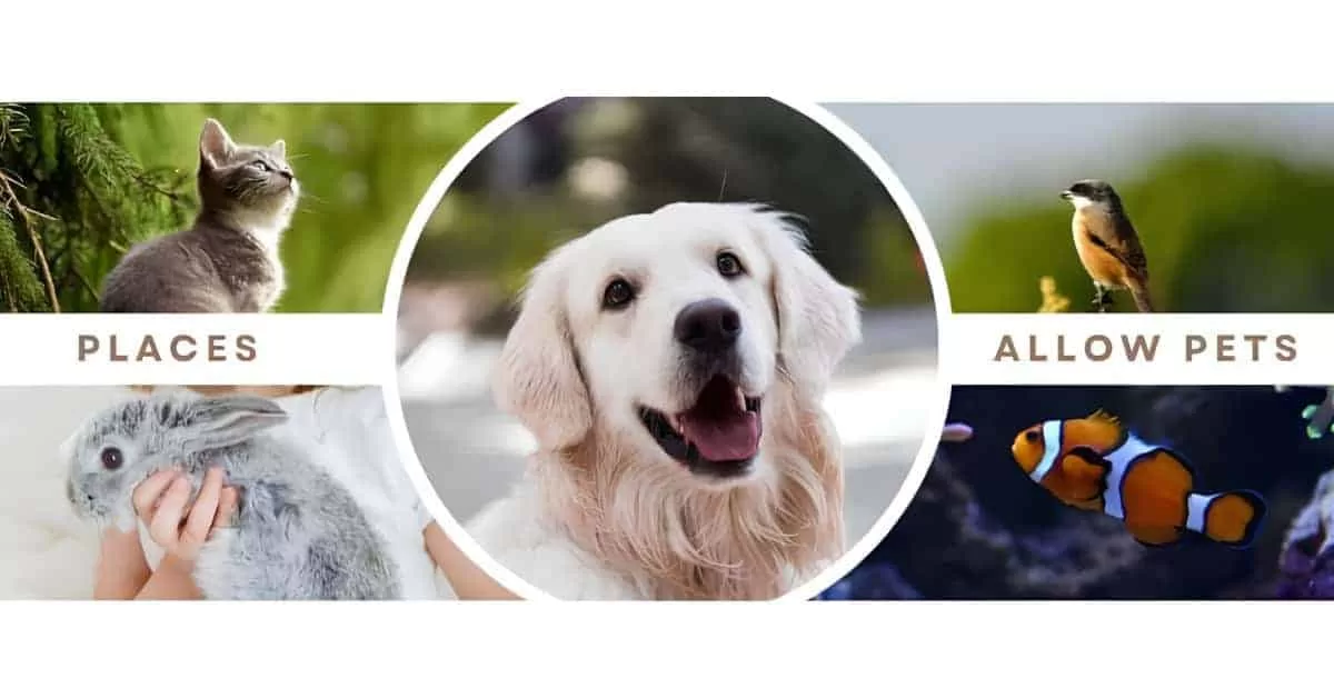 places allow pets tour
